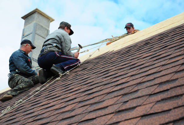 Quick and Trustworthy Emergency Roof Repair Services in Thornton, IL